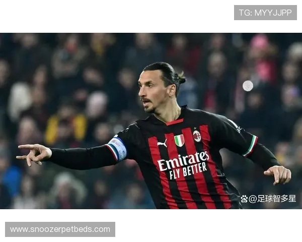 伊布前锋价值持续攀升,成为转会市场备受关注的热门球员 伊布前锋价值持续攀升,成为转会市场备受关注的热门球员