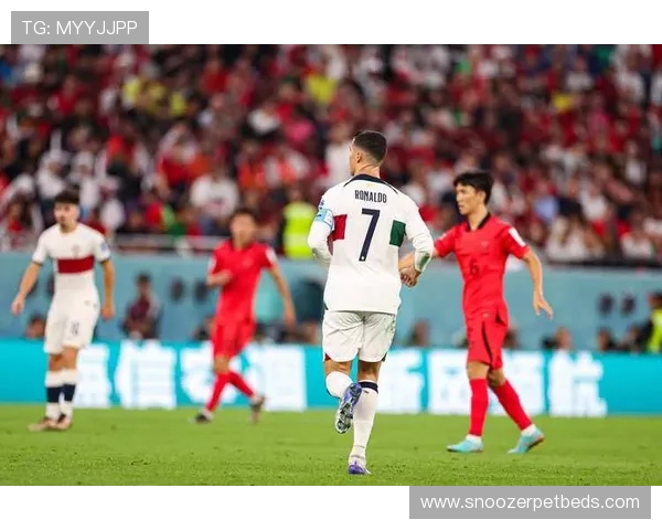 世界杯闭幕式圆满举行，赛事精彩回顾与交接仪式备受关注