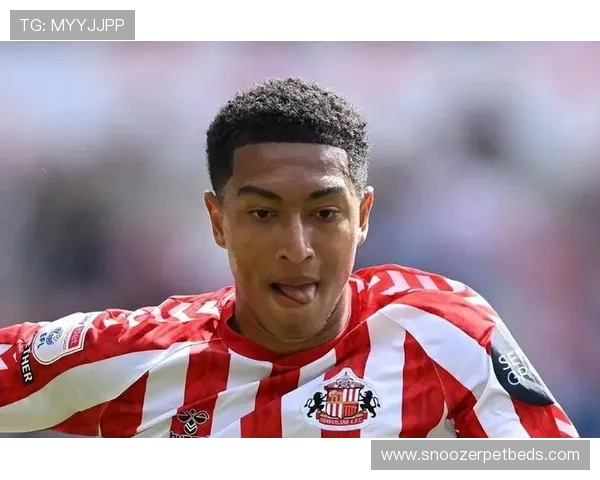 世界新星阵容崭露头角，年轻球员表现稳健引领未来足球潮流