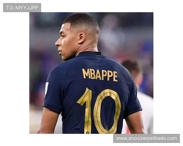 姆巴佩持续提升表现，成为法国足球的新领军者引人关注