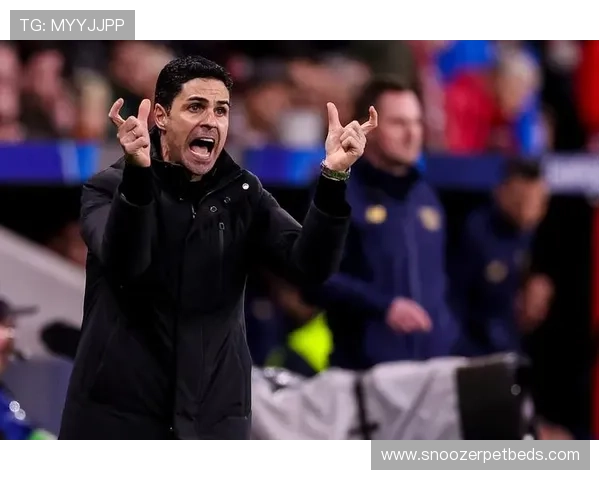 阿尔特塔反击体系