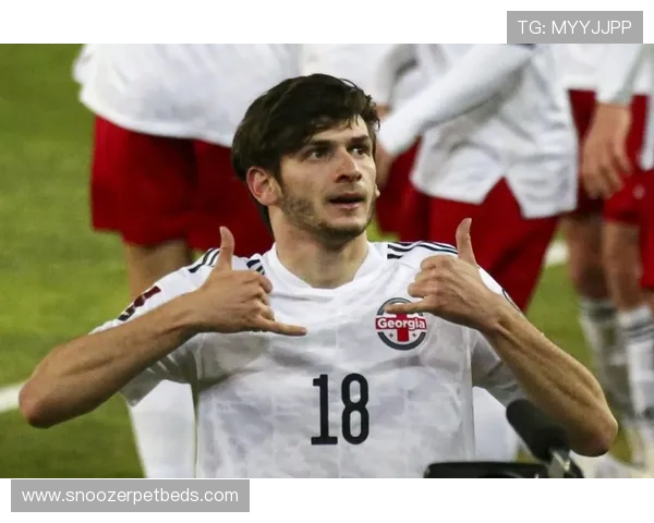 格鲁吉亚克瓦拉茨赫利亚