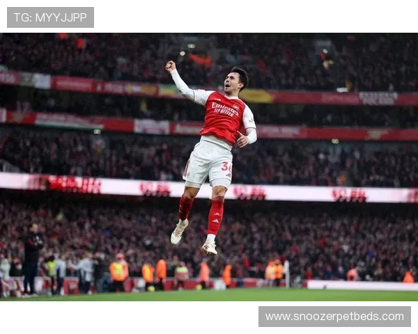 阿森纳防线稳定性持续提升,近期防守表现稳健 阿森纳防线稳定性持续提升,近期防守表现稳健