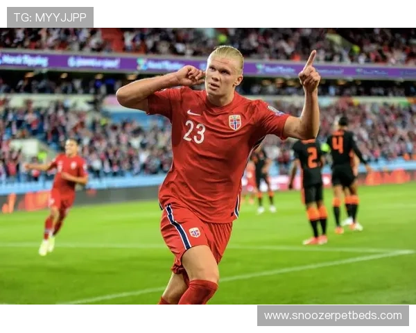 哈兰德每90分钟进球效率是否已逼近历史极限