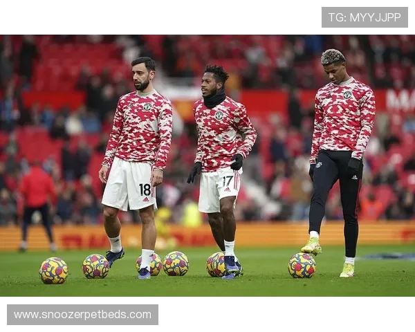 为何B费争议不断却不可替代？