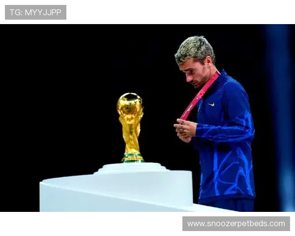 格列兹曼关键数据与战术角色再审视