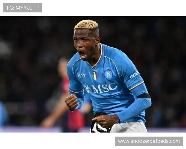 奥斯梅恩“昙花一现”质疑:数据表现稳定性与伤病风险评估