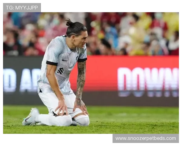 努涅斯 vs 热苏斯：无球跑动与战术价值对比