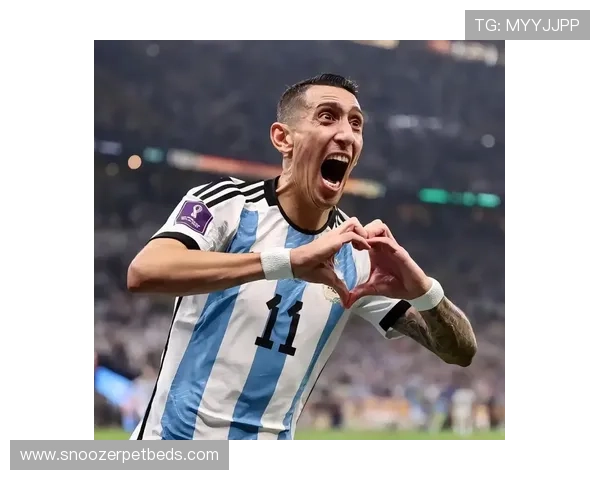 安赫尔·迪马利亚：边路爆点到进攻组织者的角色进化分析