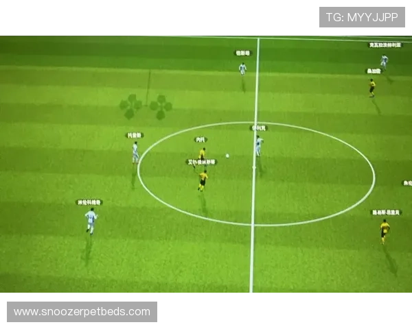 弗拉霍维奇的天赋与体系冲突解析 弗拉霍维奇的天赋与体系冲突解析