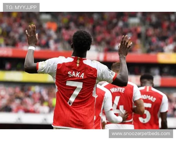 拉菲尼亚与萨卡：英超同代边锋角色差异与进攻效率解析