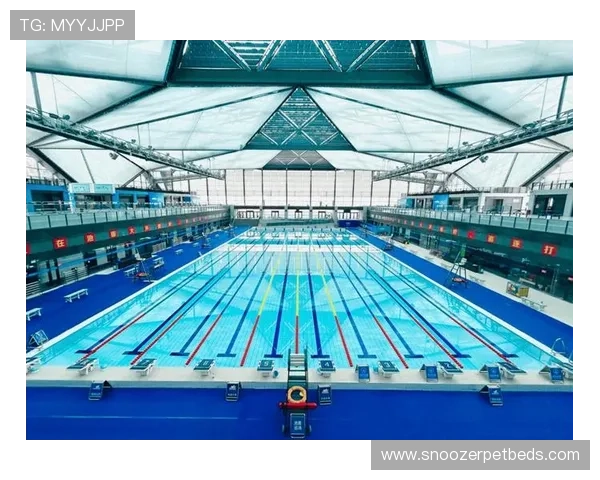 瑞安·洛赫特家里泳池比别人家客厅还大，结果他天天在家练蝶泳？