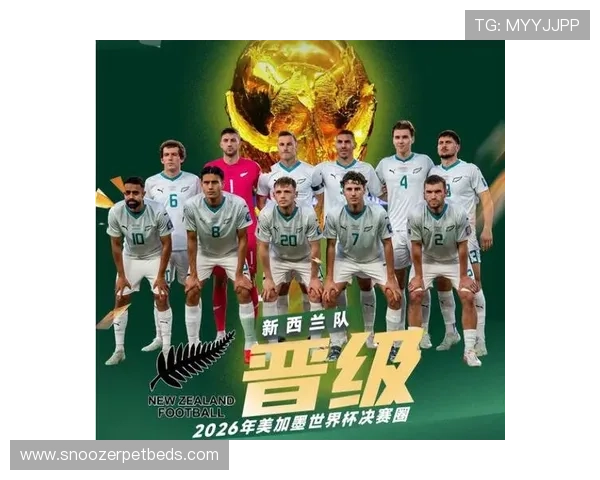 巴拉圭队能否重返世界杯舞台？2026美加墨世界杯晋级前景分析