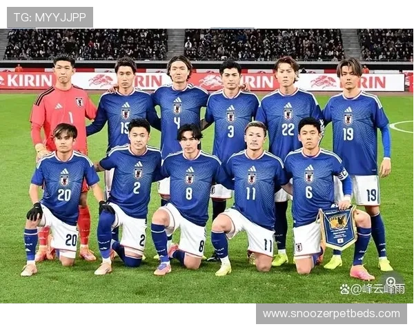 日本晋级八强概率分析 日本晋级八强概率分析