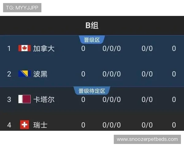 世界杯B组出线概率公布,加拿大瑞士领跑 世界杯B组出线概率公布,加拿大瑞士领跑